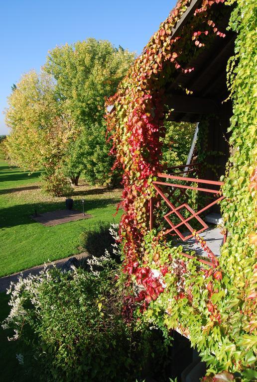 Hotel Domaine De L'Arbrelle Amboise Exterior foto